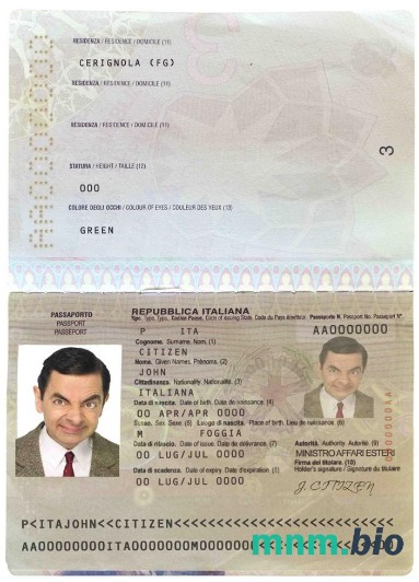 Przykład paszportu włoskiego w formacie PSD, w pełni edytowalny